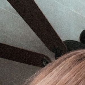 Meet your Posher, Annie